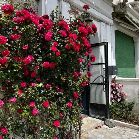 Cosy Proche Gare Et Centre * Lourdes