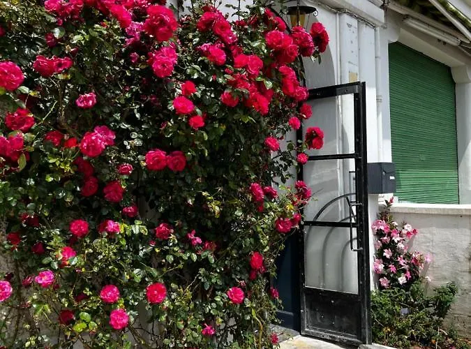 Cosy Proche Gare Et Centre * לורדה